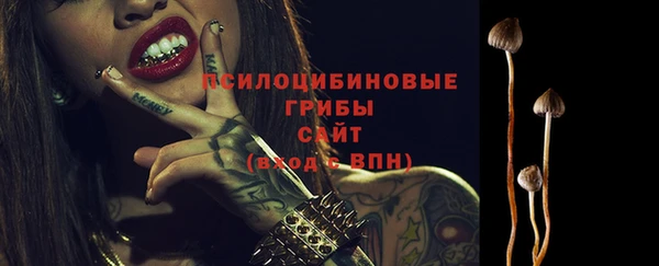 тгк Медногорск