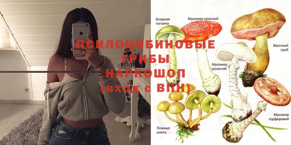 тгк Медногорск