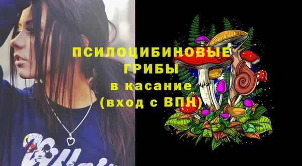 крисы Михайловск