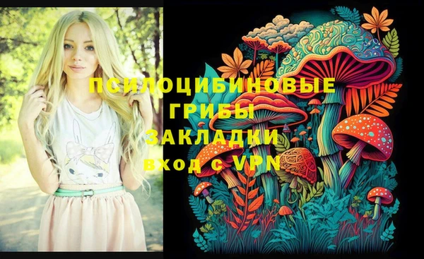 крисы Михайловск