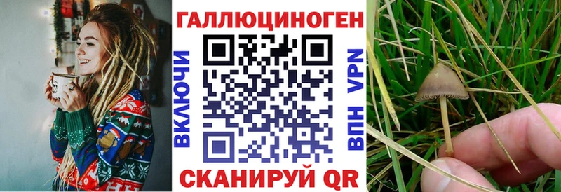 Галлюциногенные грибы ЛСД  наркота  ОМГ ОМГ вход  Туран 