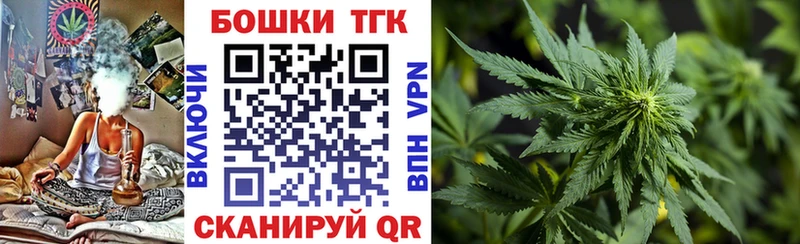 Конопля планчик  Туран 